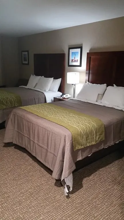 מלון ניו יורק Comfort Inn Jamaica Downtown